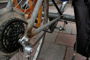 rear chain guide