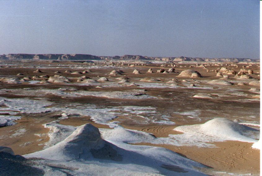 09whitedesert.jpg
