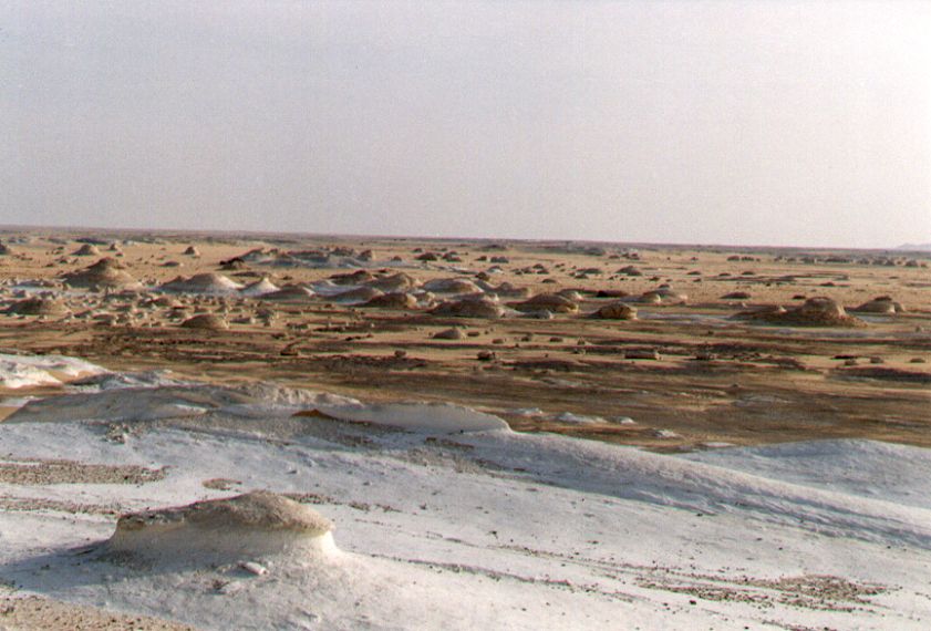 11whitedesert.jpg